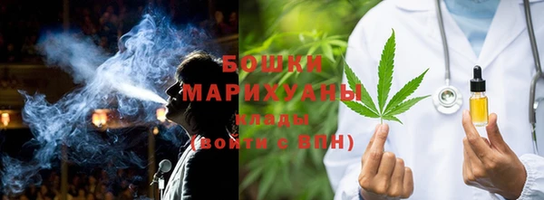 дмт Осинники
