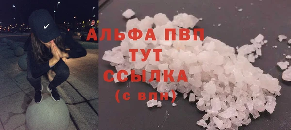 твердый Осташков