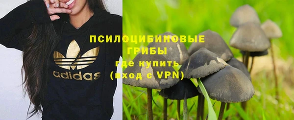 твердый Осташков