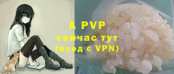 твердый Осташков