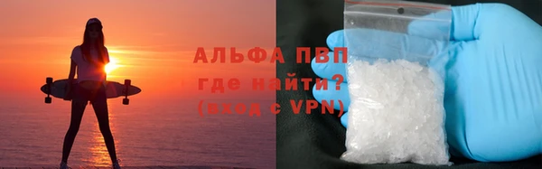 твердый Осташков