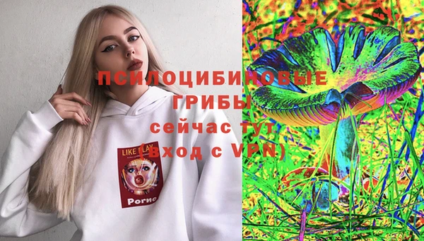 дмт Осинники