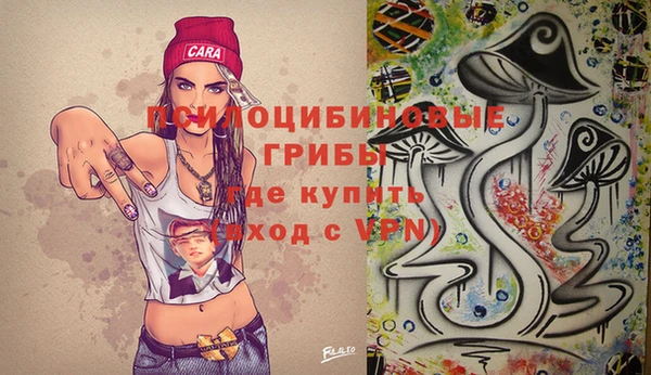 твердый Осташков