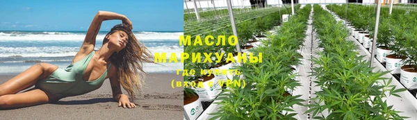 дмт Осинники