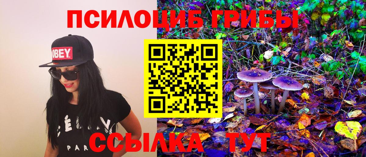 Иркутск  Галлюциногенные грибы GOLDEN TEACHER  Вход с VPN 
