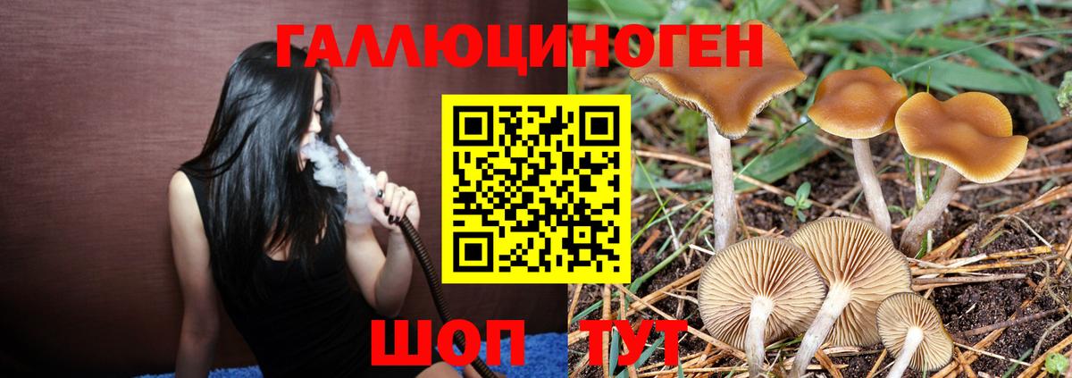 Галлюциногенные грибы прущие грибы Иркутск